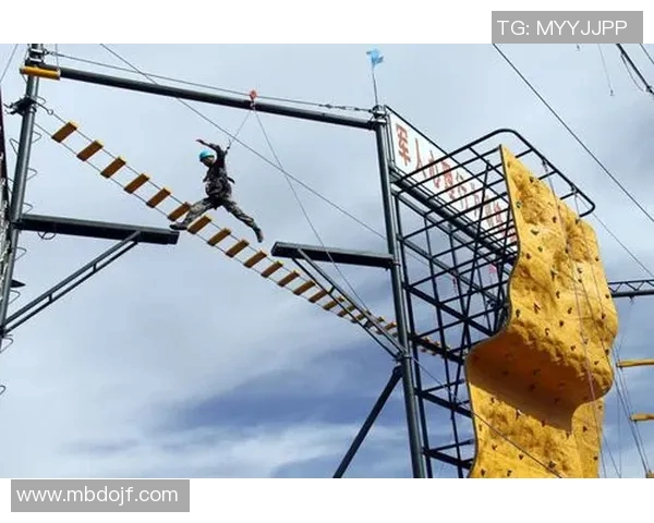 武汉攀岩队心理素质深度对比分析与提升策略探讨