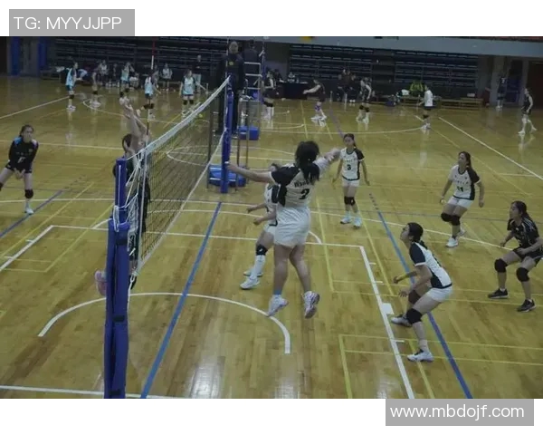 广州排球队在排球意识排行榜中荣登第八名展现团队实力与战术智慧 广州排球队在排球意识排行榜中荣登第八名展现团队实力与战术智慧