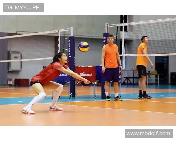 深度对话杨娜排球人生的启示与奋斗历程探讨