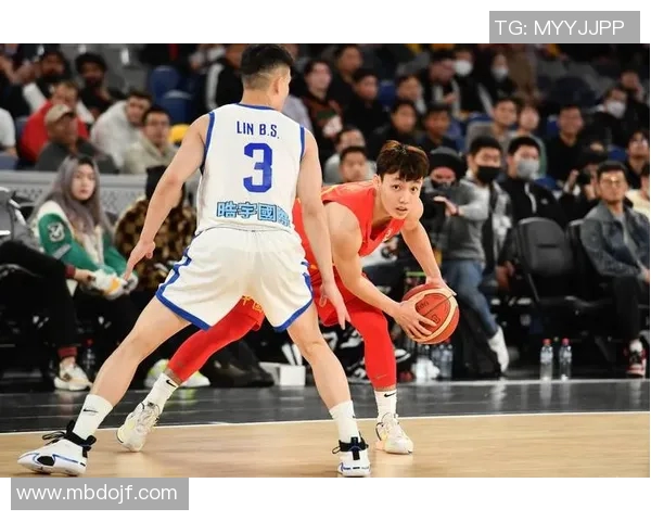 深度对话：探索王磊在篮球世界中的成长与奋斗历程