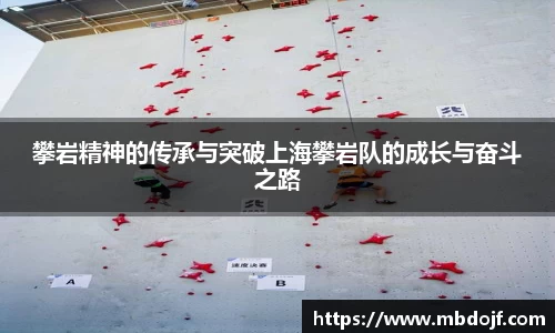 攀岩精神的传承与突破上海攀岩队的成长与奋斗之路