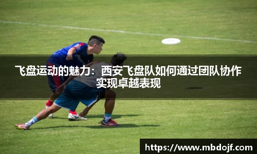 飞盘运动的魅力：西安飞盘队如何通过团队协作实现卓越表现